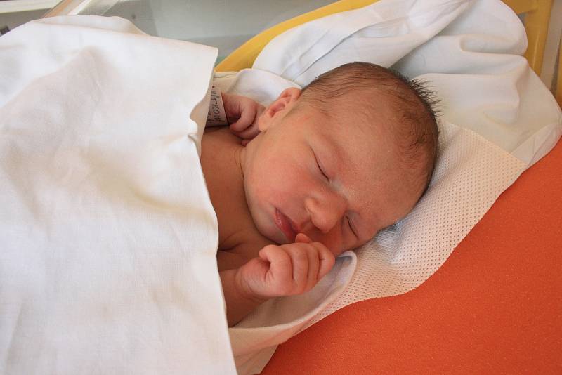 Jolana Vítková, Jihlava, 9. června 2019, 48 cm, 2775 g