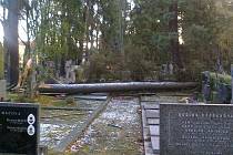 Takto vypadá jihlavský Ústřední hřbitov po nedělní vichřici.