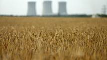 Zlátnoucí obilí měnící se ve strniště je symbolem letních prázdnin. Kombajny vyrazily na pole, jehož kulisou jsou chladící věže dukovanské jaderné elektrárny.