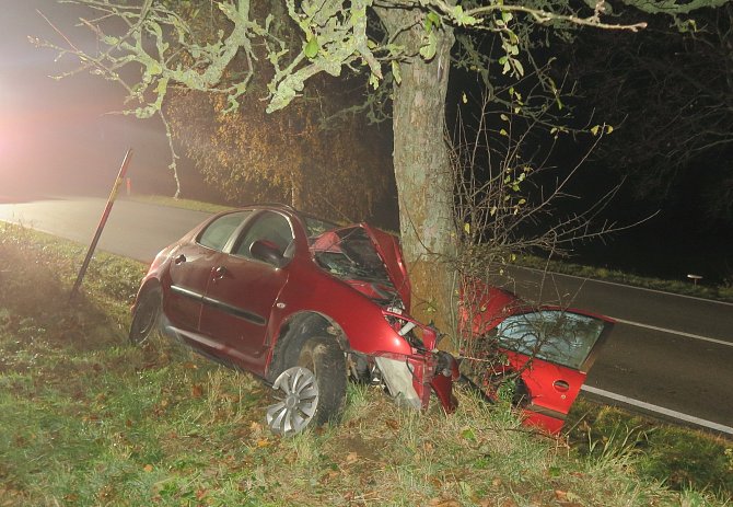 Nehoda u Stáje na Jihlavsku. Řidič vyjel ze silnice a narazil do stromu.