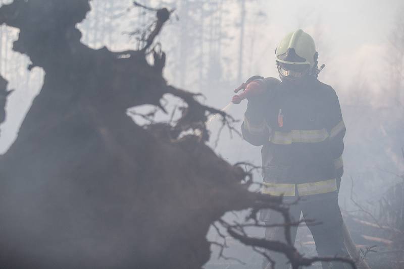 Požár lesa u obce Rybné na Jihlavsku.