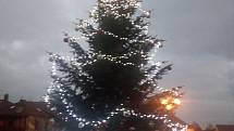 Vánoční strom v Lukách nad Jihlavou.