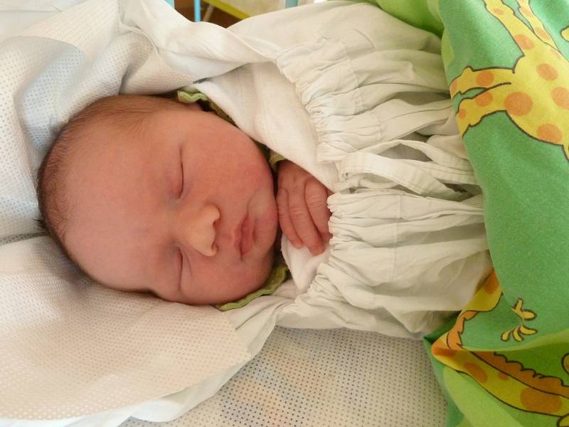 David Beran, 18. 8. 2015, 3 820 g, 51 cm, Rohozná