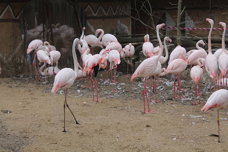 Jihlavská zoologická zahrada.