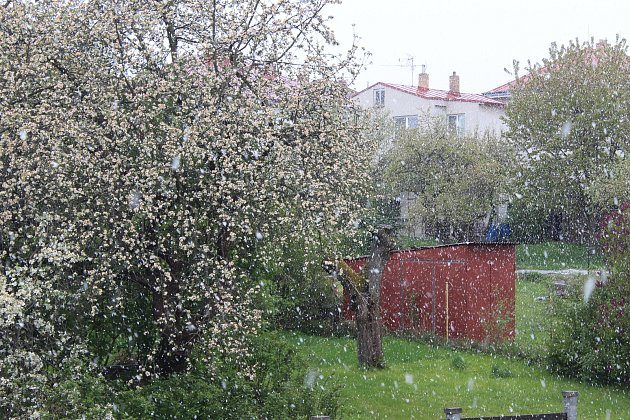 Na Jihlavsko se vrátila zima, hustě sněžilo v Lukách i v Růžené. Podívejte se