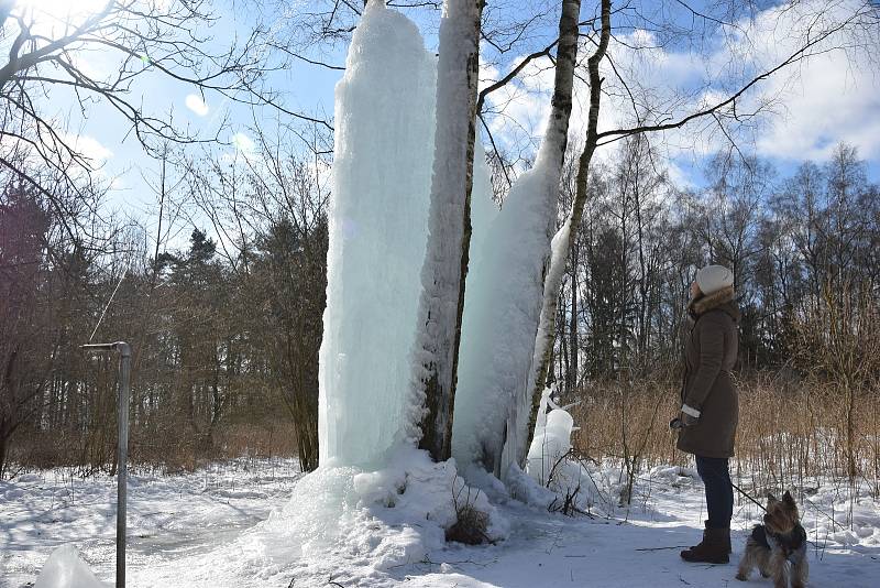 Ledové království. Oblíbená zastávka turistů i výlet pro běžkaře. U Lovětína na Jihlavsku, se za mrazivého počasí nachází unikátní ledopád. V tamním háječku kousek za Vysokým rybníkem nechají obyvatelé obce vodu tryskat na stromy a příroda spolu s mrazem 