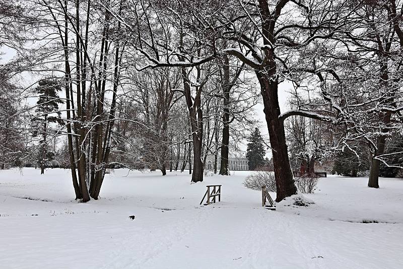 Procházka předvánoční Telčí není jenom náměstí, ale své kouzlo skrývá i zámecký park.