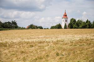 Přívalové deště, které zasáhly v uplynulých dnech i Vysočinu, situaci s přemnoženými hraboši nevyřešily.