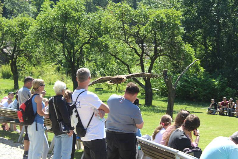 Jihlavská zoo je nejvíce navštěvovaným turistickým cílem Vysočiny. Divácky atraktivní jsou zejména komentovaná krmení zvířat.