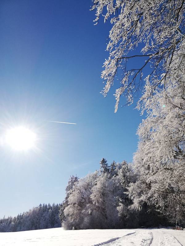 Zima stále čaruje. Foto: Soňa V.