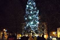 Polná je jediné město na Jihlavsku, které rozsvítilo vánoční strom už v sobotu.