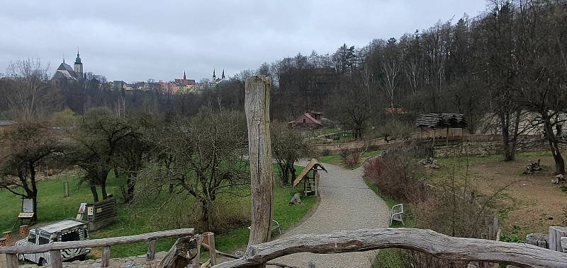 První dny byly v jihlavské zoologické zahradě poklidné. Návštěvníci neměli problém se ke zvířatům dostat, ta si to náležitě užívala.