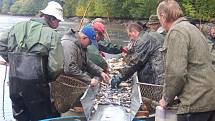 Rybářské žně roku, podzimní výlovy ryb pro vánoční trh, se blíží ke konci. 