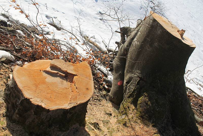 Velký Pařezitý rybník  v pátek 15. února 2019.