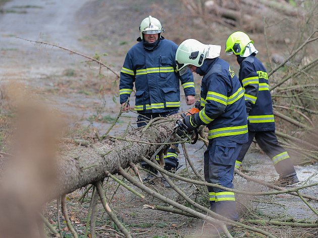 Orkán na Vysočině poškodil statisíce kubíků dřeva