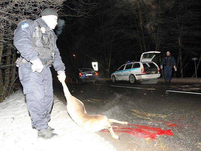 Na silnicích Vysočiny umírá po střetu s auty velké množství lesní zvěře, hlavně srnčí. Přitom by stačilo, kdyby kolem komunikací byly pachové odpuzovače. Na ty ale nejsou peníze.