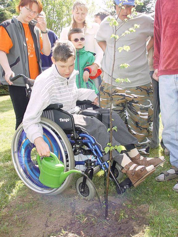 Pořadatelé akce spolu s Lesy ČR zasadili společně s dětmi ze speciální školy Březinova mladý jilm, jako znamení boje o návrat zeleně do krajiny.