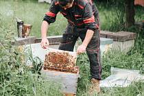 Včelí farma Nosek v Kostelní Myslové přivítá návštěvníky na speciálních prohlídkách. Foto: se souhlasem Včelí farmy Nosek