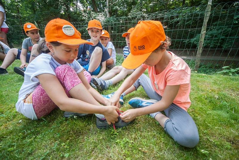 ZOO Jihlava i letos po celé léto pořádá příměstské tábory, ve kterých se děti seznámí se s životem zvířat v jihlavské zoo, dozví se řadu zajímavostí o rozmanitosti živočišné říše i její ochraně.