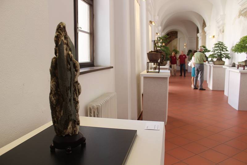 Návštěvníci mohou v Hotelu Gustav Mahler vidět zhruba šedesát bonsají a dvacet kamenů suiseki.