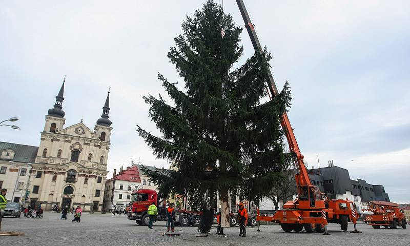 Instalace Vánočního stromu na Masarykově náměstí v Jihlavě.