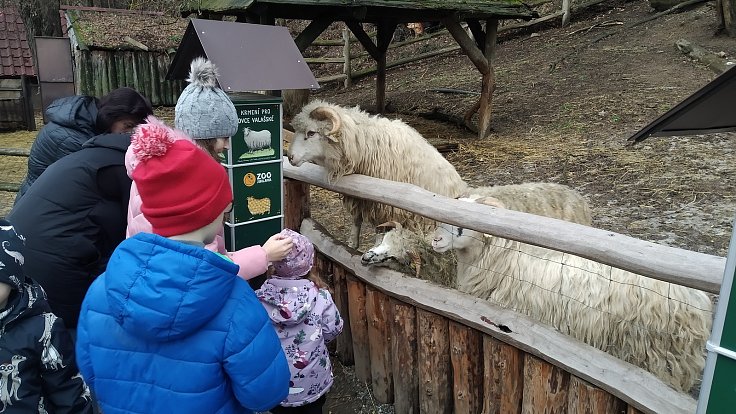 Jihlavská zoo přivítala návštěvníky i na Štědrý den.