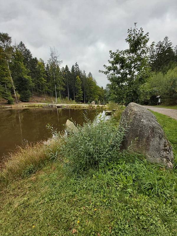 Rozhledna u Jakuba poblíž Valtínova v České Kanadě nabízí návštěvníkům také vycházku k zajímavé kaskádě rybníků zakončenou u skalního útvaru nazvaného Ďáblova prdel.