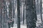Takto to vypadalo v Jihlavě 26. listopadu 2021. První sníh.