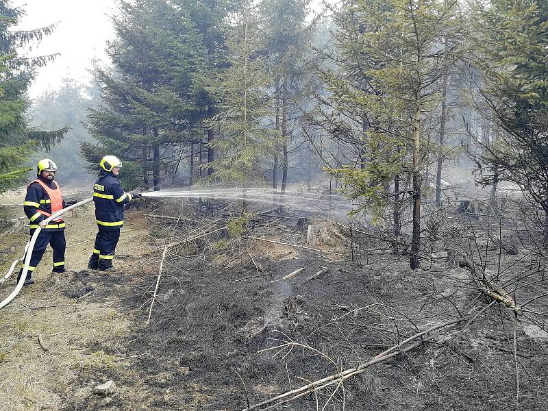 Požár mladého lesa u Řídelova si vyžádal i zásah hasicího letadla.