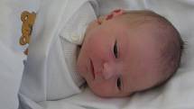 Tina Bártová, 9. 11. 2010, 3 600 g, 51 cm, Polná