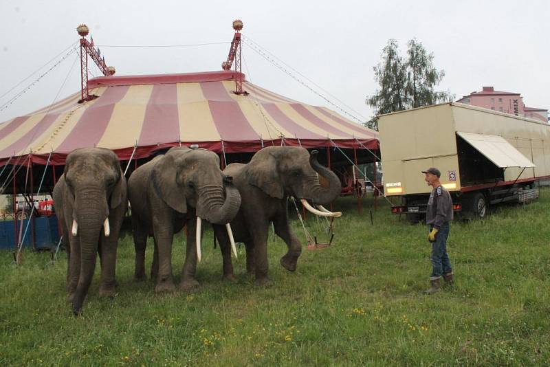 Do Jihlavy přijel Cirkus Humberto