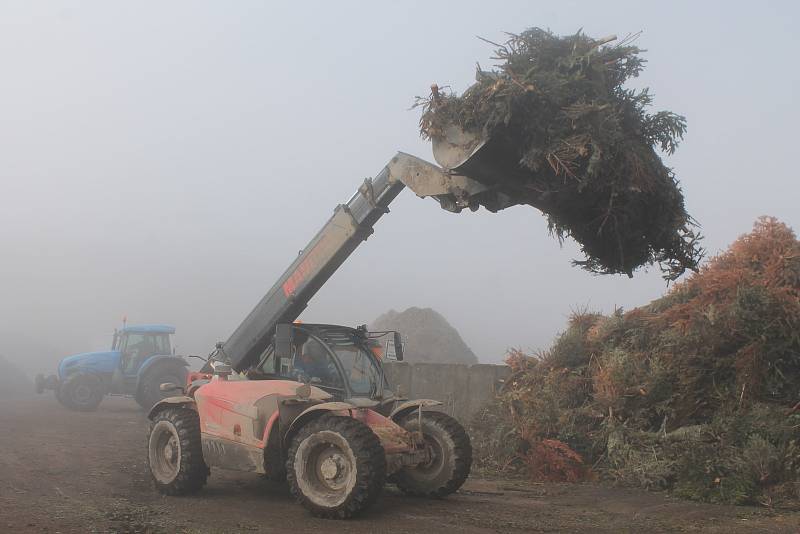 Vánoční stromky po rozdrcení poslouží jako základ nově vnikajícího kompostu.