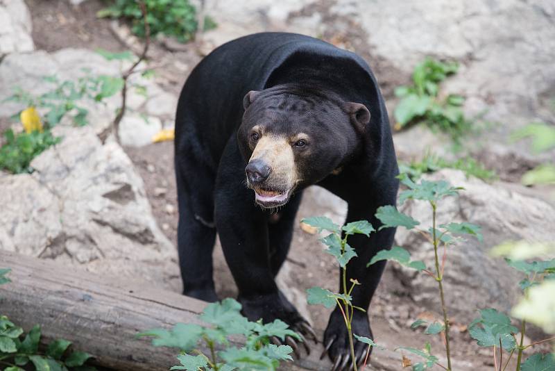 Zoo Jihlava.