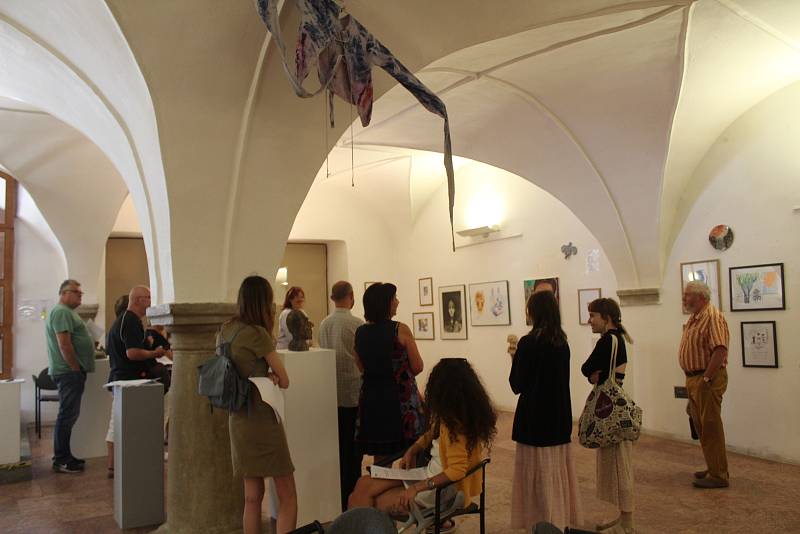 Výstavu v Oblastní galerii Vysočiny je možné navštívit do poloviny července.