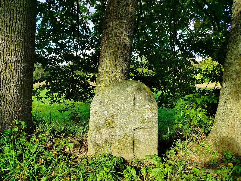 Krásné podzimní dny vybízí k procházkám po okolí. Třeba na Šibeniční vrch nad Třešť.