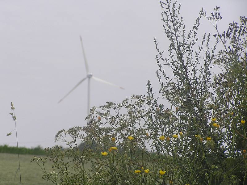 Větrná elektrárna nedaleko obce Kámen.