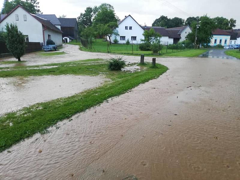 Nadělení z bramborového pole ve Ctiboři.