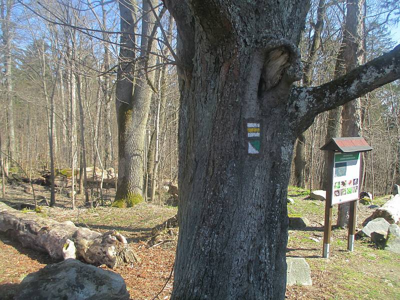 Hrad Roštejn a jeho okolí.