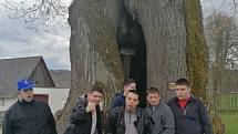 Klienti Domova Jeřabina začátkem května navštívili památnou lípu v Praskolesích.