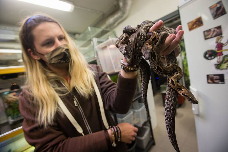 Zoologická zahrada v Jihlavě.