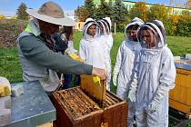 Kdo má zájem o včely, seznámí se na jihlavské Škole ekonomiky a cestovního ruchu s teorií i s praxí.