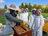 Kdo má zájem o včely, seznámí se na jihlavské Škole ekonomiky a cestovního ruchu s teorií i s praxí