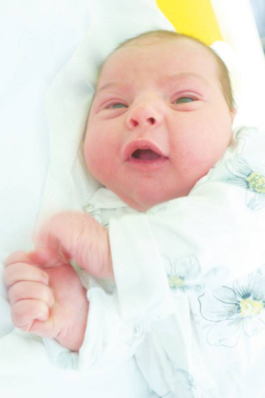 Sophie Kratochvílová, 14. 2. 2015, 3 535 g, 50 cm, Štoky