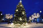 Telč měla loni krásný vánoční strom, i letos stojí uprostřed náměstí.