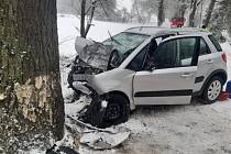 Tragická nehoda na silnici mezi Pacovem a obcí Jetřichovec na Pelhřimovsku.
