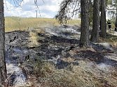 Požár suché trávy a stromů u Salavic na Jihlavsku.