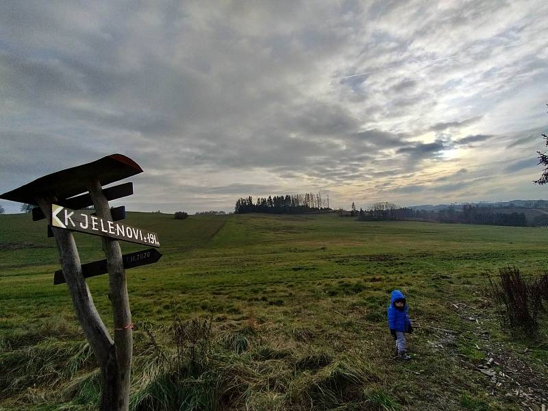 Výlet k soše jelena nad Hodicemi stojí za to. Je odsud vidět Javořice i Roštejn.