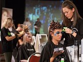V Jihlavském DKO se v pondělí 6. listopadu konala mezinárodní soutěž Hairdresser Open 2017.