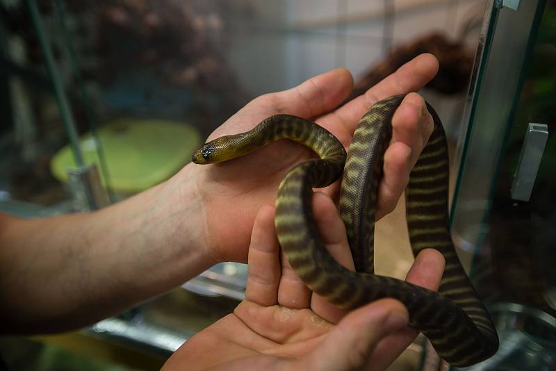 Zoologická zahrada v Jihlavě.