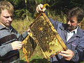 Tuzemští včelaři, kterých funguje kolem padesáti tisíc, mohou být na svoji práci pyšní. Med z celého Česka je jedním z nejkvalitnějších v celé Evropě.  Neodpovídá tomu ale výkupní cena, takže řady současných včelařů se jen těžko rozšiřují.